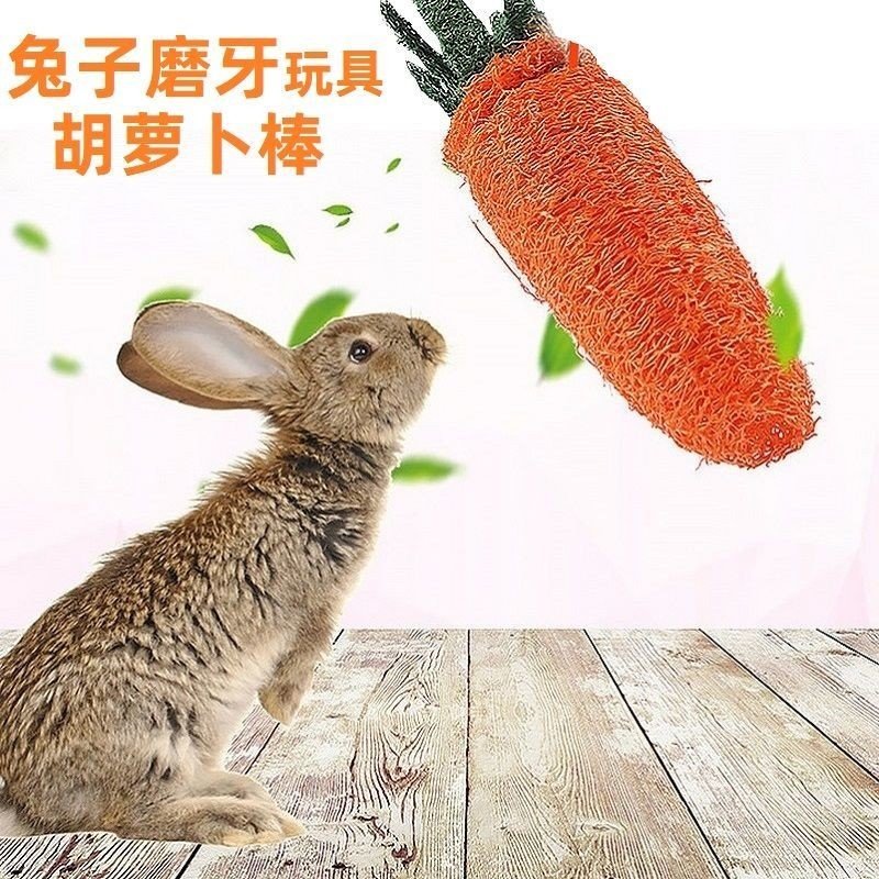 宠物兔兔子玩具胡萝卜丝瓜络磨牙豚鼠龙猫荷兰猪磨牙玩具天然耐咬,淘宝优惠券,粉丝福利购,淘宝优惠卷