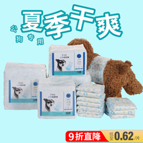 Dogs pee not wet Gongdog paper urine pants special teddy courtesy with pet mother dog Aunt Physiological Pants Male dog Pee Sheet