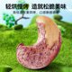 Qiaqia Canned Purple Cashew Nuts 450g