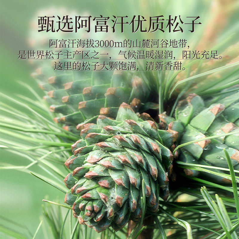 【洽洽】阿富汗手剥松子238g罐装