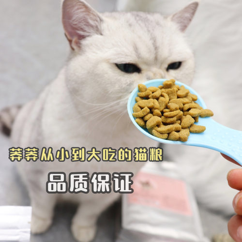 莽莽同款猫粮增肥发腮营养全价猫粮500克 - 图2