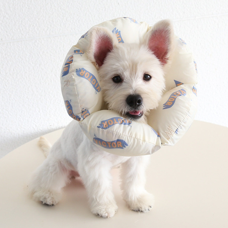 贝壳扇形加棉伊丽莎白圈防抓咬头套猫咪胖狗狗脖圈宠物枕头颈项圈,淘宝优惠券,粉丝福利购,淘宝优惠卷