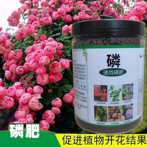 磷肥颗粒高磷肥花卉花盆栽园艺通用型家用氮磷钾肥料植物叶面肥料 - 图2