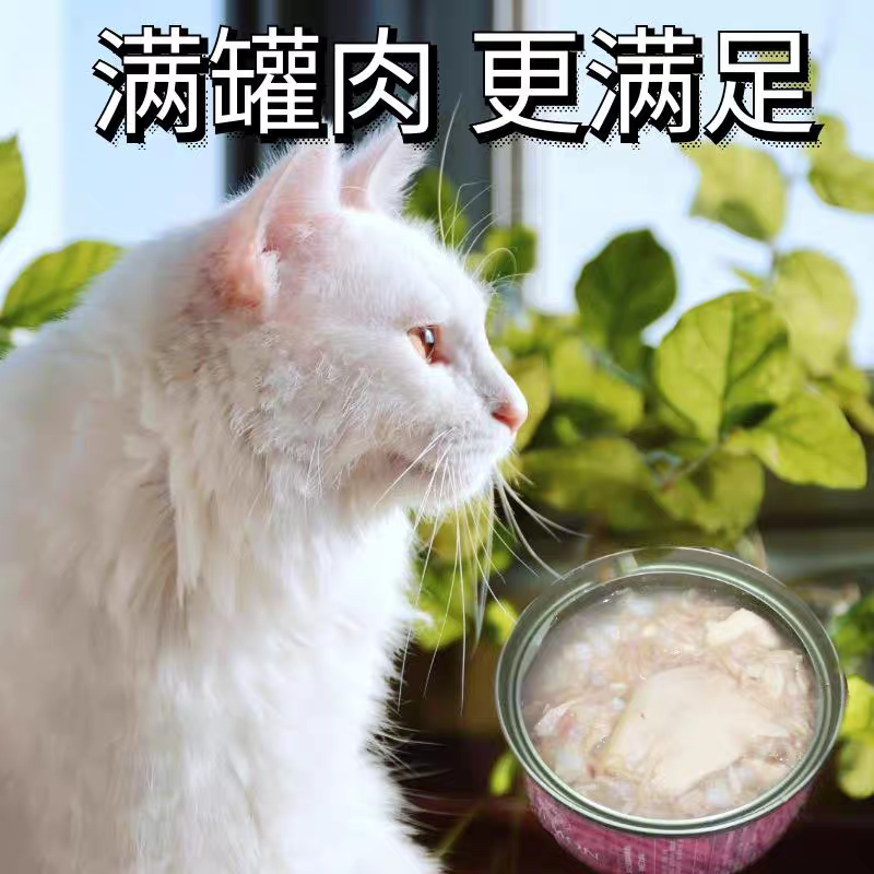 fish4cats猫罐头70g*10罐泰国进口白肉罐成猫幼猫咪零食营养补水 - 图0