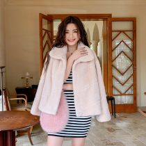 Cute Pony Imported Velvet Water Mink Jacket Women Stand For Casual Fashion Whole Mink Fur Fur Coats