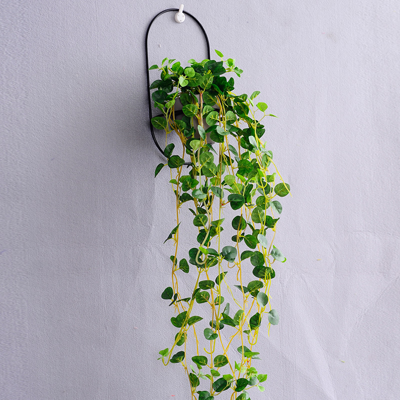 北欧ins风 室内墙面装饰挂藤仿真绢花绿植花藤蔓植物花盆壁挂花卉 - 图2