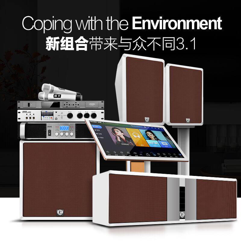 fross /沸斯s5家庭ktv套装话筒 沸斯KTV/卡拉OK音箱