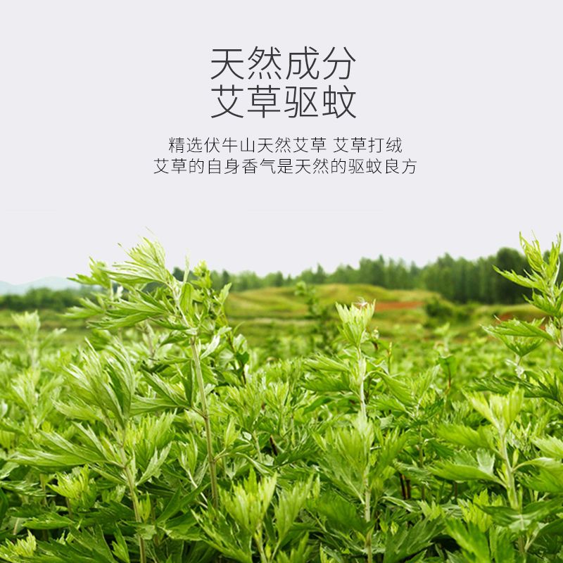 驱蚊艾条厂家医用杀菌正宗艾草熏家用灭蚊子神器蚊香棒防蚊-图3