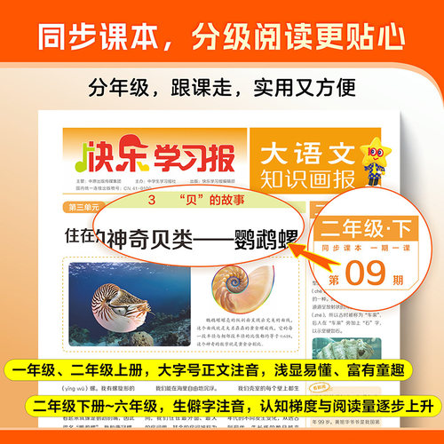 天星教育大语文知识画报小学生版少年科普报纸杂志2026全年订阅52期一二三四五六年级上册下册课外阅读拓展教材同步阅读课前预习单 - 图3