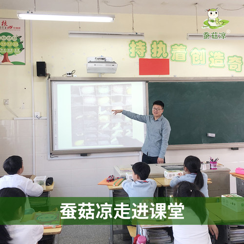 蚕宝宝学生养蚕套装幼蚕活体蚕卵孵化小学春季科学课观察结茧彩色 - 图2