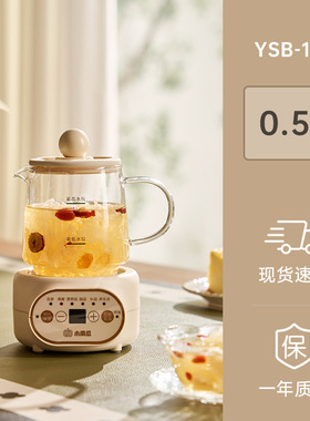 小南瓜养生壶家用烧水壶办公室小型煮茶器全自动玻璃花茶壶电炖杯