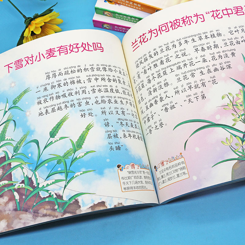 图4