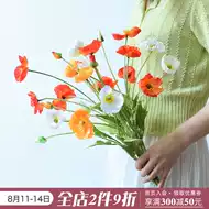 虞美人花盆栽 新人首单立减十元 21年8月 淘宝海外 虞美人花盆栽 新人首单立减十元 21年8月 淘宝海外