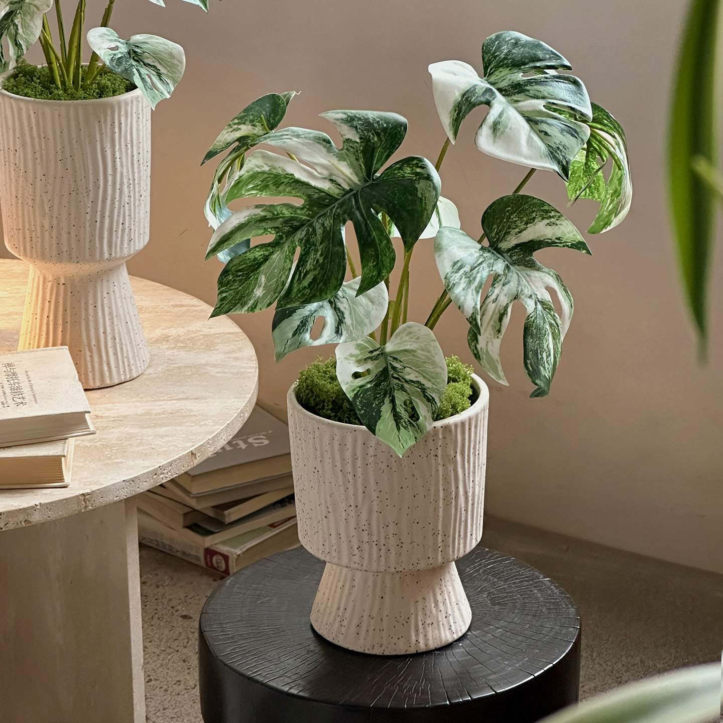 ins风绿植装饰仿真植物龟背竹商场氛围布置造景造景摆件盆景道具,淘宝优惠券,粉丝福利购,淘宝优惠卷