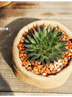 园林水泥绿植收纳多肉花盆新品