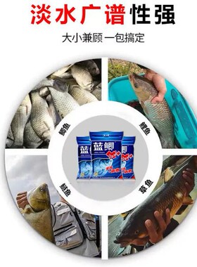 野战蓝鲫优腥香酒米饵