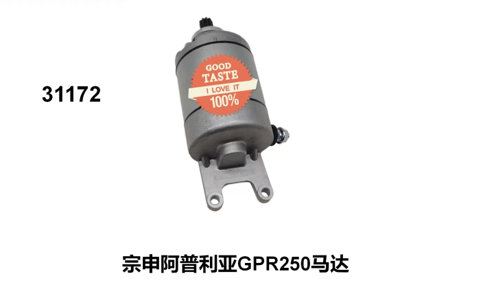 适用宗申比亚乔阿普利亚SR GPR250 APR300T-250电喷启动电机 马达 - 图0