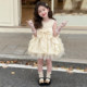 ເດັກຍິງ Summer Princess ແບບ Mesh Puff Dress