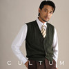 CULTUM100% Merino Wool Gentleman Retro Men's Vest Knitted Vest Business Casual V-neck Cardigan