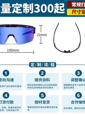 跨境偏光防风沙骑行眼镜户外运动
