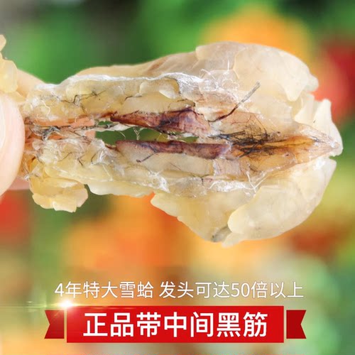 特大雪蛤联体油  4年林蛙油 特干新鲜长白山蛤蟆油雪哈膏正品20克 - 图2