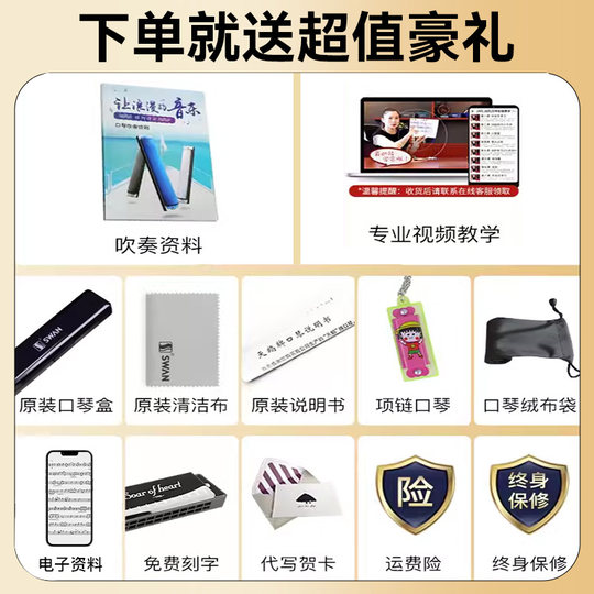 天鹅口琴24孔28孔初学者入门小学生专用儿童复音重C调成人业正品