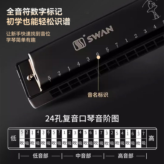 天鹅口琴24孔28孔初学者入门小学生专用儿童复音重C调成人业正品