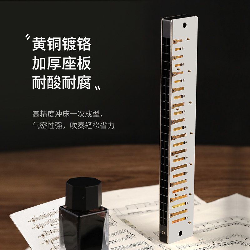 正品天鹅24孔复音c调初学者28口琴 天鹅口琴