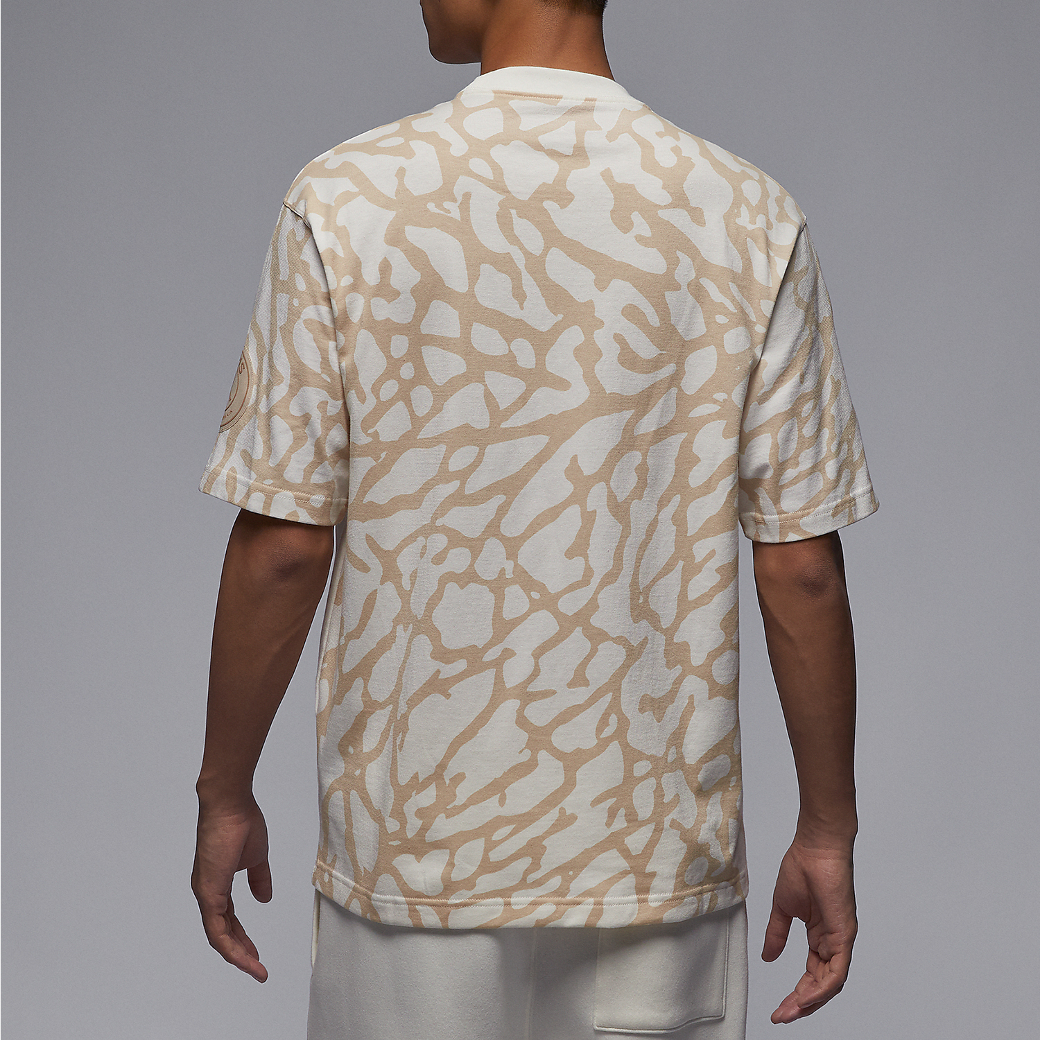 Nike/耐克正品JORDAN男士运动针织透气圆领短袖T恤FN5331-133 - 图0