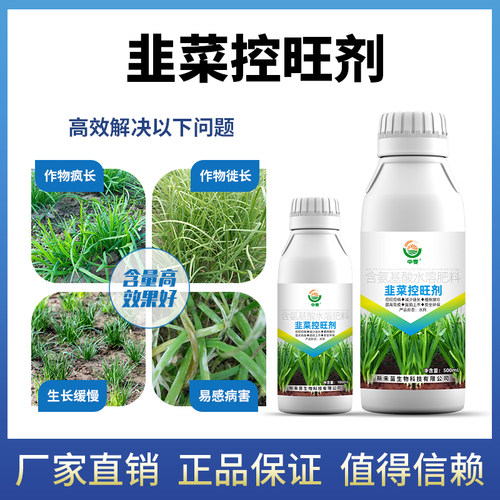 韭菜控旺药 韭菜专用控旺剂促控素 促生根控旺长抗倒伏生长调节剂 - 图1