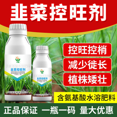 韭菜控旺药 韭菜专用控旺剂促控素 促生根控旺长抗倒伏生长调节剂 - 图2