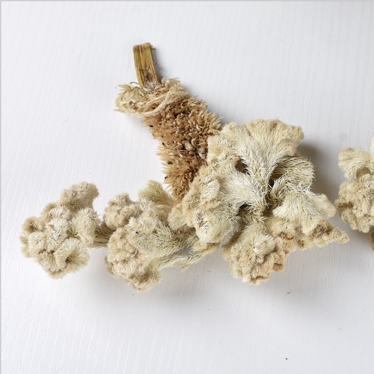 白鸡冠花 中药材 鸡公花新货 鸡髻花 白鸡冠子花500克包邮 - 图0