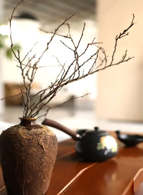 装饰禅意艺术插花分杈软件干枝