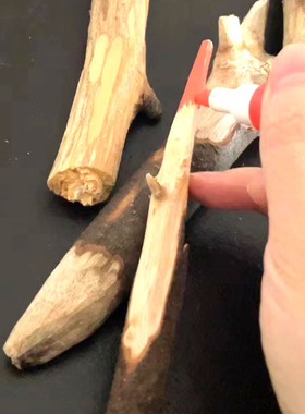 天然原木树枝插画幼儿园手工diy装饰木棍材料干树枝健康环保创意