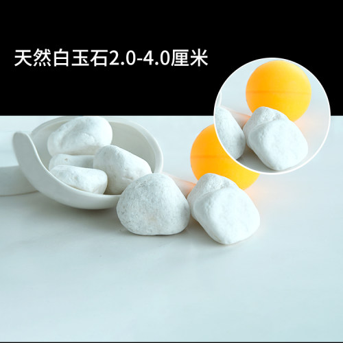天然白石子小白玉石五彩石鹅卵石雨花石多肉石头铺面水培鱼缸铺院 - 图2
