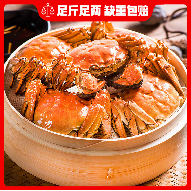 [现货]鲜活特6两大公蟹阳澄大闸蟹苏州特产湖蟹螃蟹年货大蟹礼盒,淘宝优惠券,粉丝福利购,淘宝优惠卷