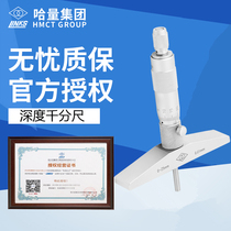 Harbin measuring tool depth micrometer high precision industrial grade accessories to pick up the pole measuring head electronic number display comparator
