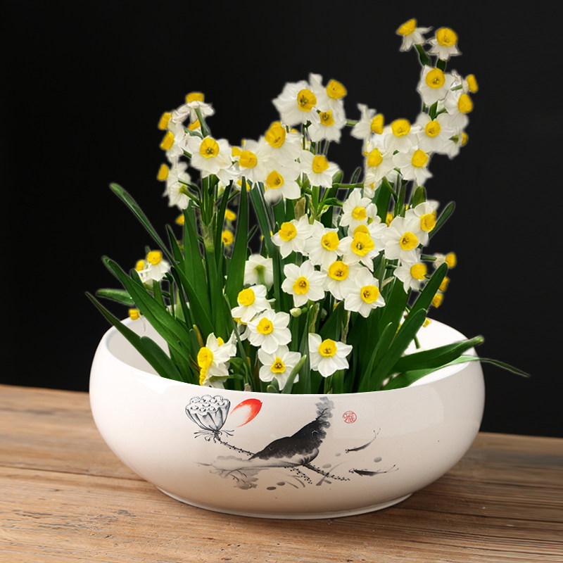 创意铜钱草绿萝水培花瓶陶瓷水仙花盆容器家用室内插花器水培器皿,淘宝优惠券,粉丝福利购,淘宝优惠卷