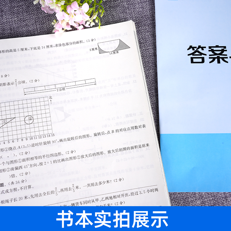 小升初真题卷2024江苏省小学毕业考试试卷精编语文数学英语苏教版备考密卷24份必刷题小学六年级升初中模拟试卷测试卷全套通城学典 - 图2