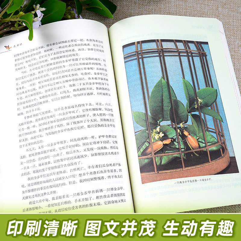 【人教版】昆虫记和经典常谈八年级下册必读正版原著完整版法布尔初二中学生课外阅读书人民教育出版社初中生老师推荐文学名著8下