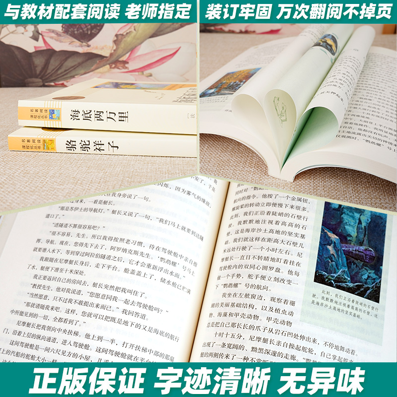 海底两万里正版书原著初中版完整版人民教育出版社初中生七年级下册必读课外书人教版初一下推荐课外阅读书籍文学名著骆驼祥子老舍-图2