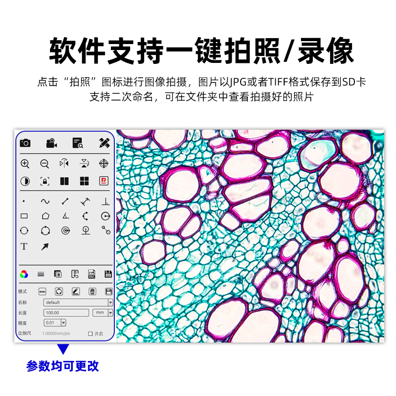 双目显微镜专业级生物初中学生小学专用高清光学电子医学实验室