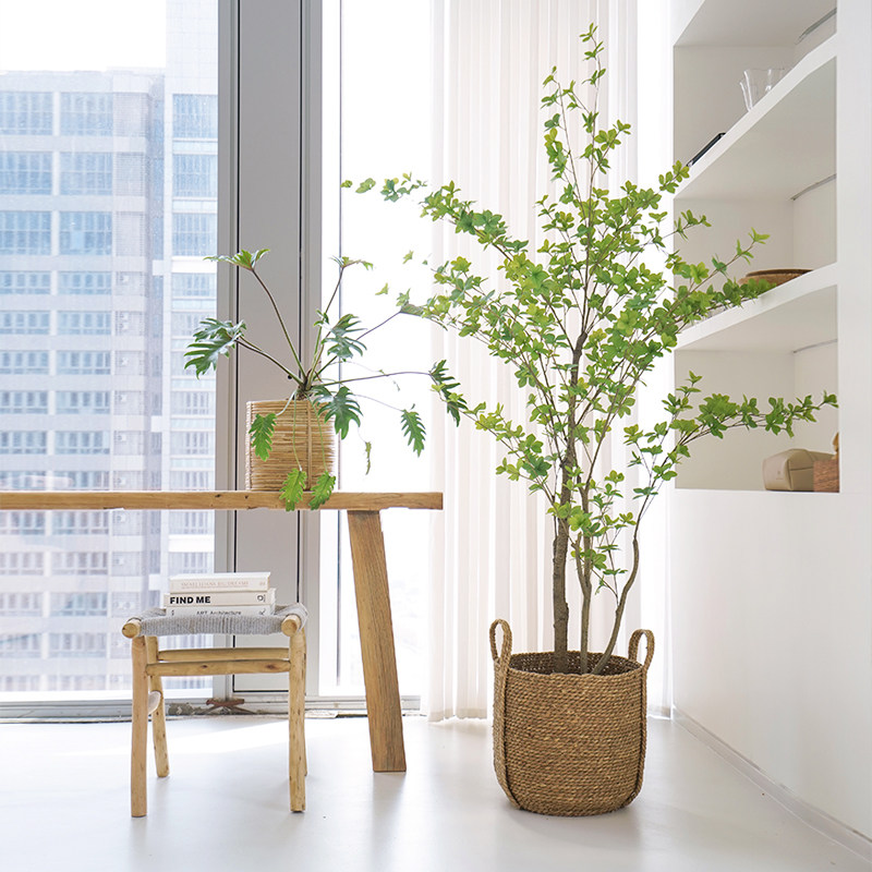 大栗家 马醉木仿真绿植摆件 吊钟植物客厅室内大型盆栽北欧ins风
