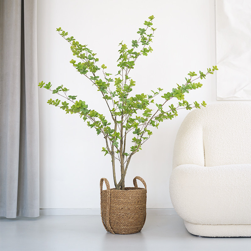 大栗家 马醉木仿真绿植摆件 吊钟植物客厅室内大型盆栽北欧ins风