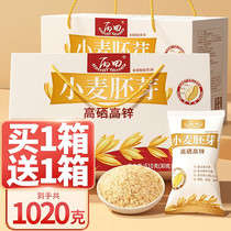 Wheat Germ Independent Packaging High Selenium High Selenium Zinc Without Add Cane Sugar Original Taste Embryo Malt Powder Pouch Hitch