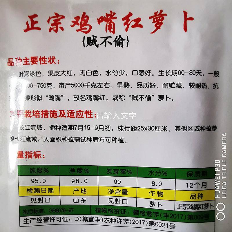 秋季播鸡嘴红萝卜种子老嘴红萝卜种籽腌制萝卜干农家菜园蔬菜种孑 - 图1