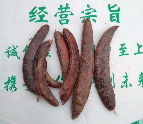 猪牙皂 优质中药材猪牙皂 皂荚皂角 500克支持验货新货无蛀虫 - 图1