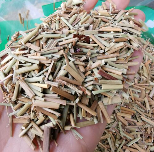 龙须草 中药材龙须草灯芯草水灯花水龙须草野席草马500克新货 - 图0