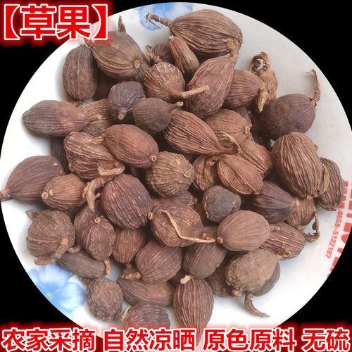 草果调味品炖肉料 火锅底料厨房卤料 草果仁草果子500g红皮川白芷 - 图0