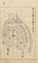 Iyin soup liquid Zhongjing is widely written and written this Wang Good Ancient 3 books